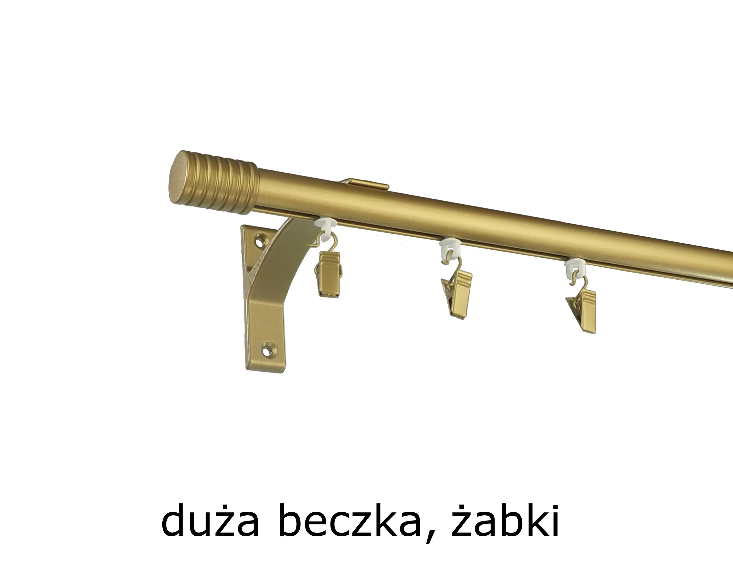 19zazm1zdb