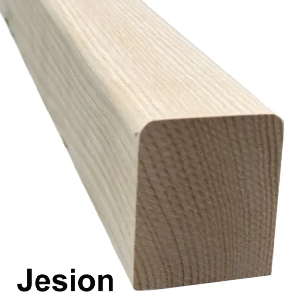 JESION