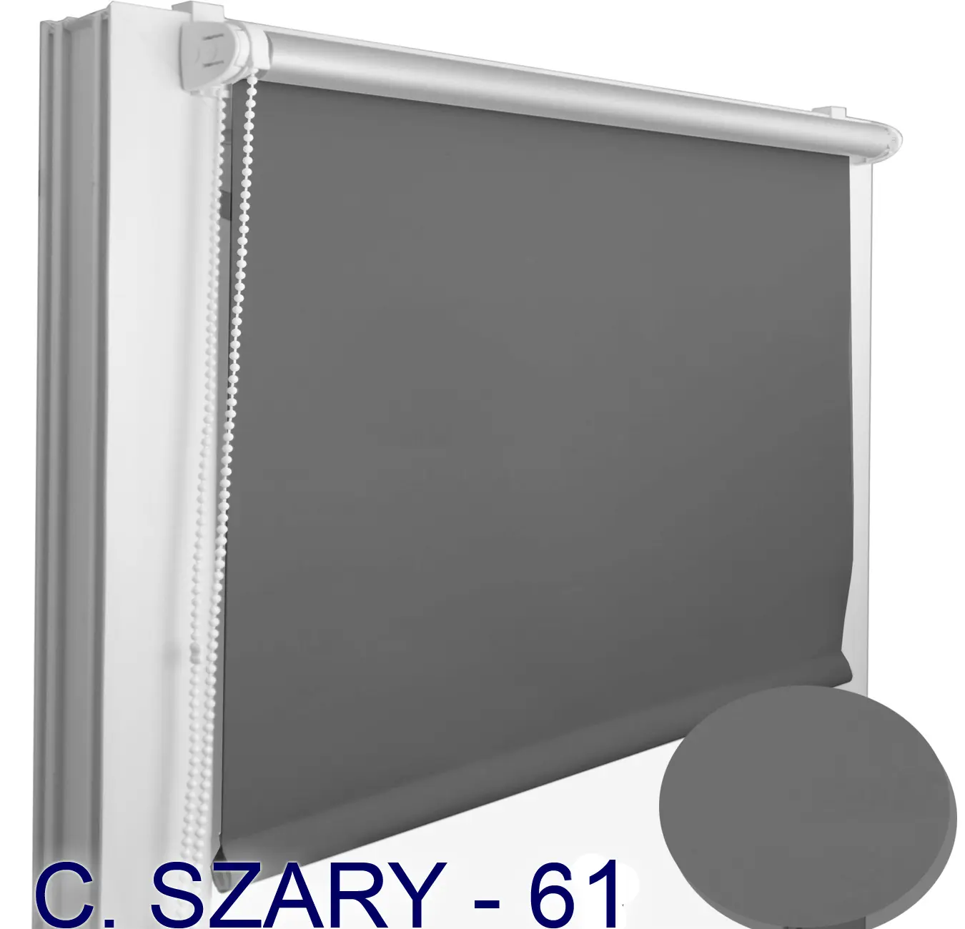 rs cszary 61